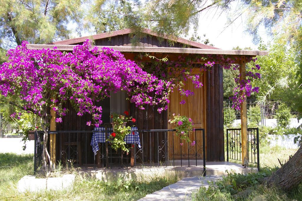 Arriba Pension&Restaurant Gumusluk Bagian luar foto